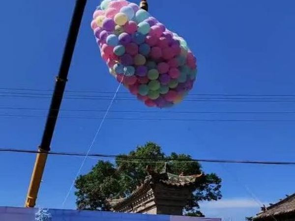 雄县吊车租赁_附近租期灵活的吊车出租电话